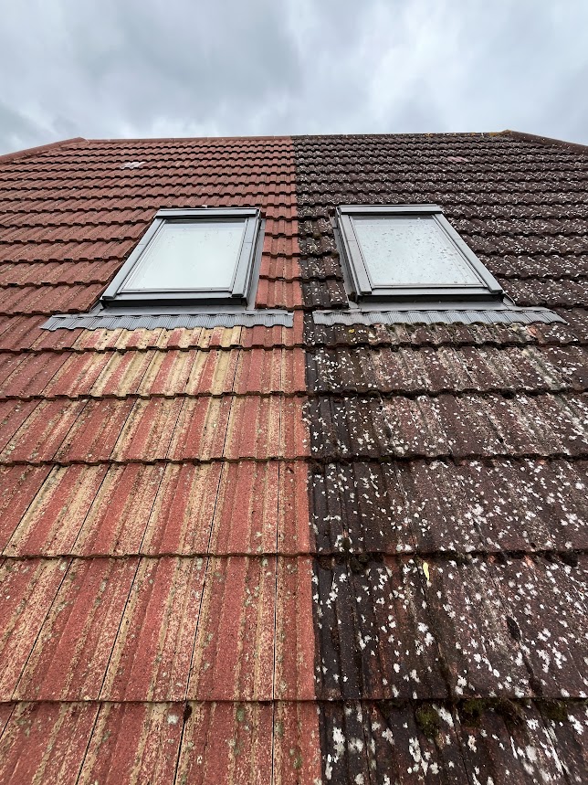 black streaks on roofs